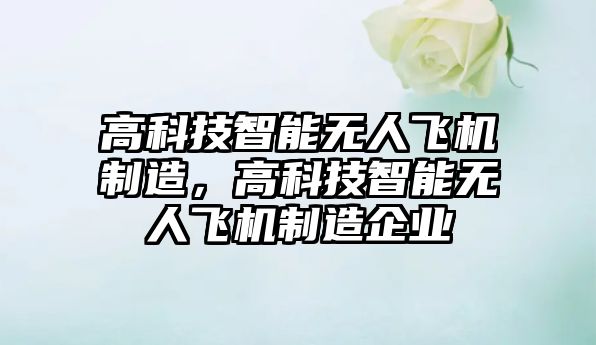高科技智能無人飛機制造，高科技智能無人飛機制造企業